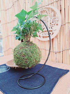 倉敷グリーンファームに投稿された画像（2024/9/12）