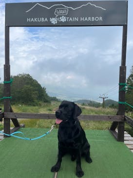 白馬岩岳マウンテンリゾートに投稿された画像（2024/9/12）