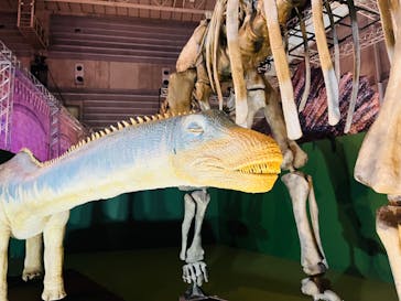巨大恐竜展2024に投稿された画像（2024/9/12）
