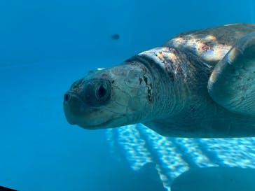 ミニチュアミュージアム スモールワールズに投稿された画像（2024/9/12）