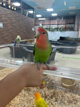 いきもの探検隊上尾に投稿された画像（2024/9/12）