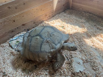 いきもの探検隊上尾に投稿された画像（2024/9/12）