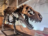 巨大恐竜展2024に投稿された画像（2024/9/12）