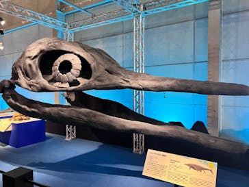 巨大恐竜展2024に投稿された画像（2024/9/12）