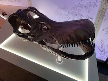 巨大恐竜展2024に投稿された画像（2024/9/12）