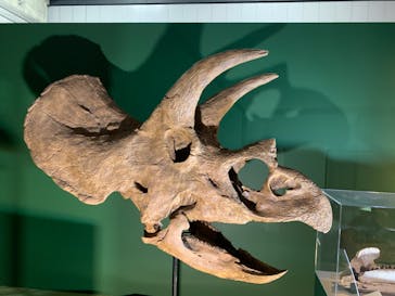 巨大恐竜展2024に投稿された画像（2024/9/12）