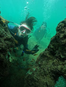 武藤潜水に投稿された画像（2024/9/12）