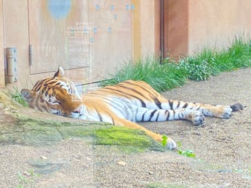 那須どうぶつ王国に投稿された画像（2024/9/12）