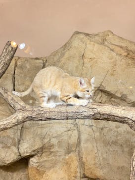 那須どうぶつ王国に投稿された画像（2024/9/12）