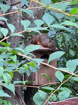 那須どうぶつ王国に投稿された画像（2024/9/12）