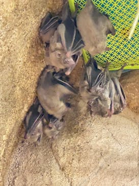 那須どうぶつ王国に投稿された画像（2024/9/12）