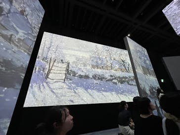 モネ＆フレンズ・アライブに投稿された画像（2024/9/12）