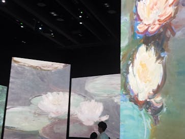 モネ＆フレンズ・アライブに投稿された画像（2024/9/12）