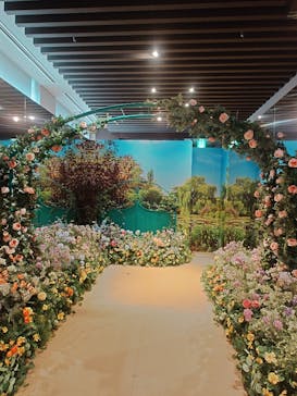 モネ＆フレンズ・アライブに投稿された画像（2024/9/12）