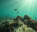 沖縄マリンサービス碧に投稿された画像（2024/9/12）