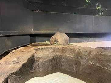 マクセル アクアパーク品川に投稿された画像（2024/9/12）