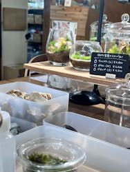 苔むすびに投稿された画像（2024/9/12）