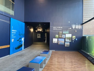 滋賀県立琵琶湖博物館に投稿された画像（2024/9/12）