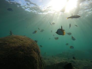 武藤潜水に投稿された画像（2024/9/12）