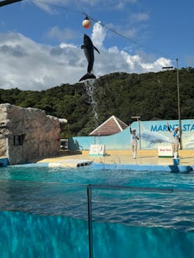 下田海中水族館に投稿された画像（2024/9/12）