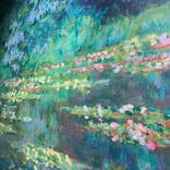 モネ＆フレンズ・アライブに投稿された画像（2024/9/12）