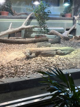 名古屋市東山動植物園に投稿された画像（2024/9/12）