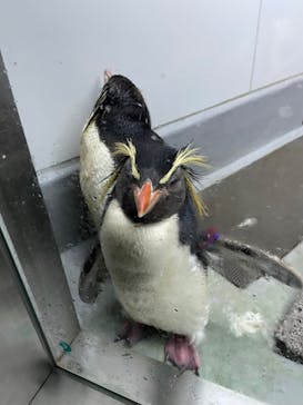 AOAO SAPPOROに投稿された画像（2024/9/12）