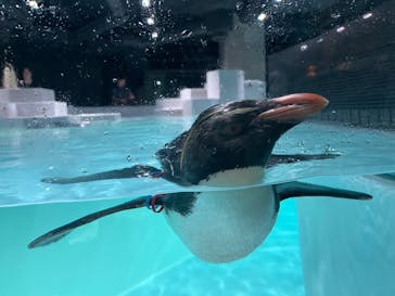 AOAO SAPPOROに投稿された画像（2024/9/12）