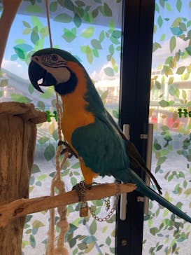 Moff animal world BIGHOPガーデンモール印西店に投稿された画像（2024/9/12）