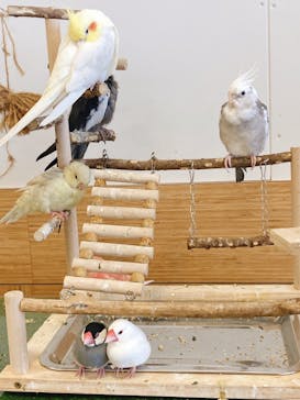 Moff animal world BIGHOPガーデンモール印西店に投稿された画像（2024/9/12）