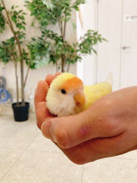 Moff animal world BIGHOPガーデンモール印西店に投稿された画像（2024/9/12）