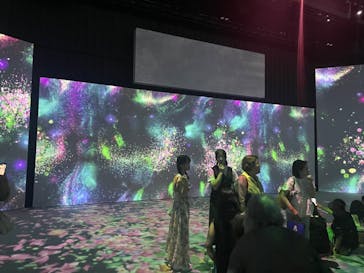 モネ＆フレンズ・アライブに投稿された画像（2024/9/12）