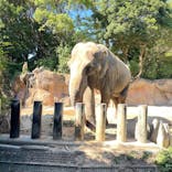 到津の森公園に投稿された画像（2024/9/12）