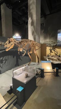 福井県立恐竜博物館に投稿された画像（2024/9/12）