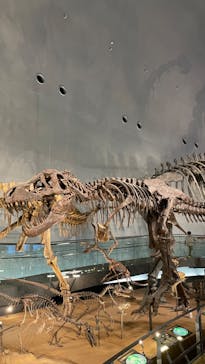福井県立恐竜博物館に投稿された画像（2024/9/12）