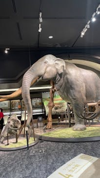 滋賀県立琵琶湖博物館に投稿された画像（2024/9/12）