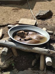 伊豆シャボテン動物公園に投稿された画像（2024/9/12）