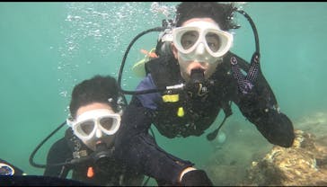 沖縄マリンサービス碧に投稿された画像（2024/9/12）