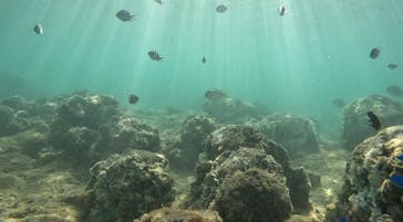 沖縄マリンサービス碧に投稿された画像（2024/9/12）