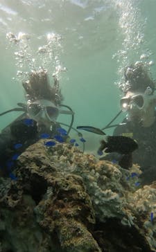 沖縄マリンサービス碧に投稿された画像（2024/9/12）