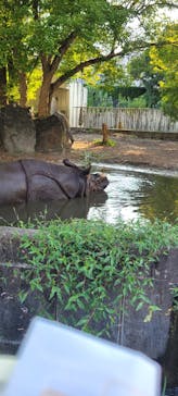 名古屋市東山動植物園に投稿された画像（2024/9/12）