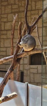 名古屋市東山動植物園に投稿された画像（2024/9/12）