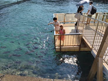 伊豆・三津シーパラダイスに投稿された画像（2024/9/12）