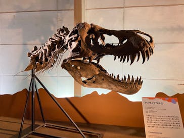 巨大恐竜展2024に投稿された画像（2024/9/12）