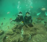 沖縄マリンサービス碧に投稿された画像（2024/9/13）