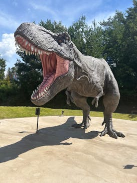 福井県立恐竜博物館に投稿された画像（2024/9/12）