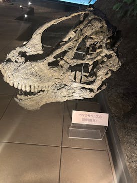 福井県立恐竜博物館に投稿された画像（2024/9/12）