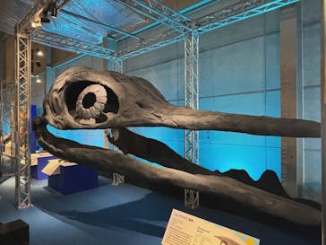 巨大恐竜展2024に投稿された画像（2024/9/13）