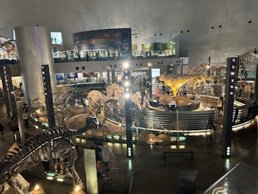 福井県立恐竜博物館に投稿された画像（2024/9/13）