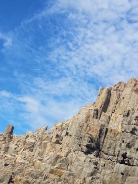 東尋坊観光遊覧船株式会社に投稿された画像（2024/9/13）